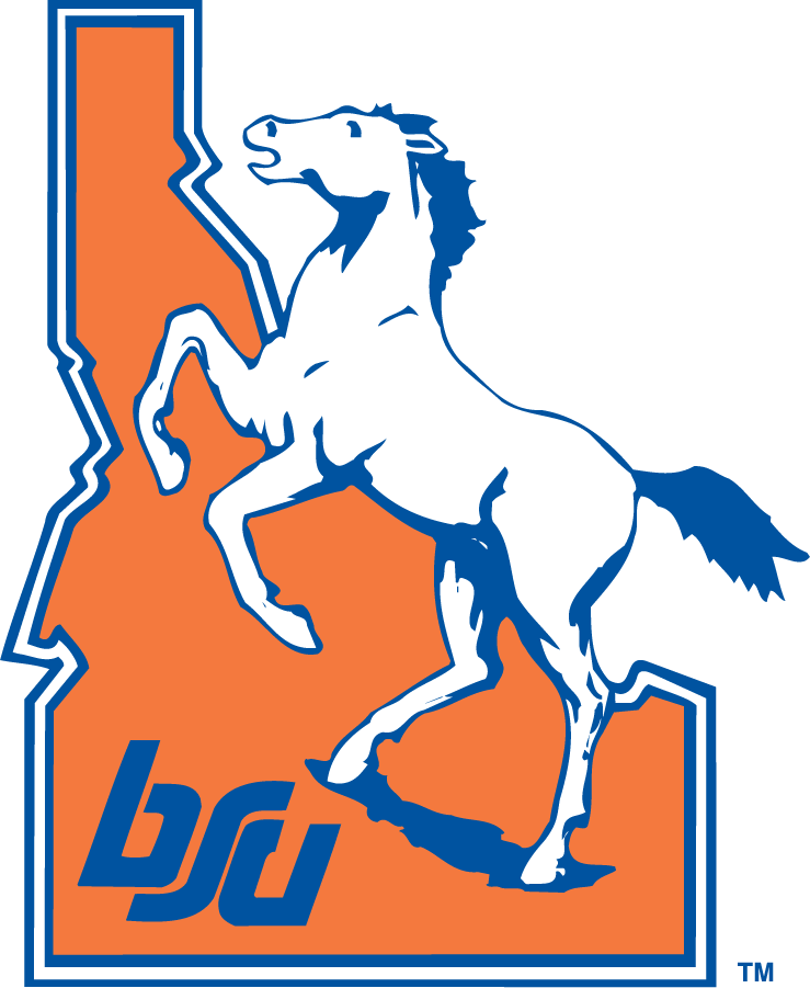 Boise State Broncos 1983-2002 Alternate Logo diy DTF decal sticker